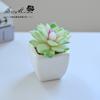 Suculenta Pequeño Bonsái Cerámica Muebles para el Hogar Decoración Fabricante de Jinhua Plantas Verdes Aliexpress Flor Artificial Plantas en Maceta