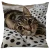 Capa de Almofada Gato Temu Brincando com Celular Estampa Fofa Capa de Almofada Decorativa para Sofá de Casa Capa de Almofada de Cama Atacado