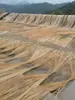 Tiras de bambú, tiras finas de bambú, tejido para paisajismo, jardinería, manualidades florales, materiales DIY, decoraciones de boda, tiras de bambú