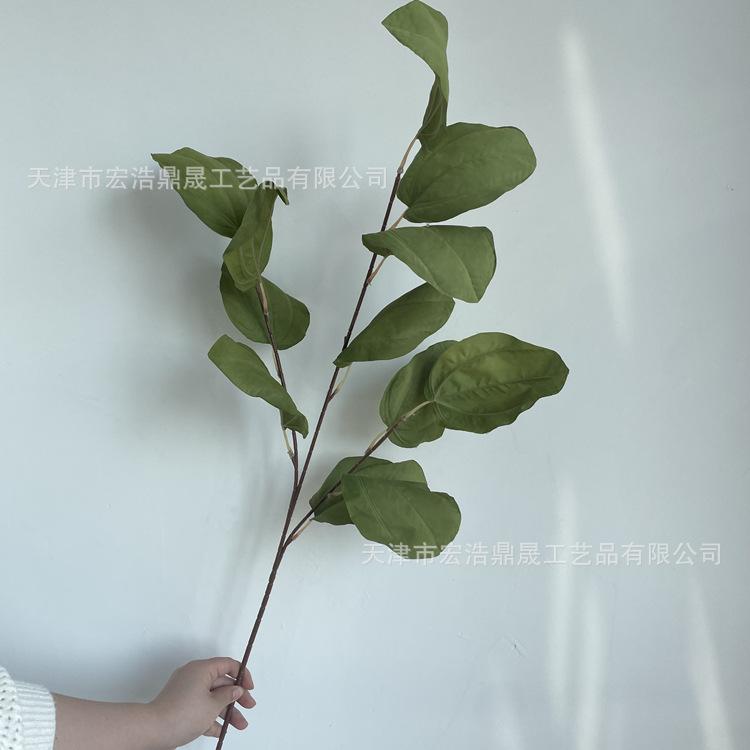 微信图片_2022050215214011_副本