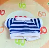 [Apenas Roupas de Boneca] Caixa Surpresa de Segunda Geração La Bubu 17cm Roupas Pingente de Rosto de Vinil Série Festa Sentada La Bubu Boneca