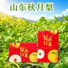 Shandong Qiuyue Pera Pera Fresca Festival Caixa de Presente Grupo de Compra para Presentear Produtos de Ano Novo Bem-Estar Empresarial Aquisição Empresarial Fruta Fresca