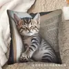 Fundas de Almohada de Animales Más Vendidas de Temu, Fundas de Almohada de Animales Lindas para Dormitorio, Hogar y Decoración de Sofá, Al por Mayor