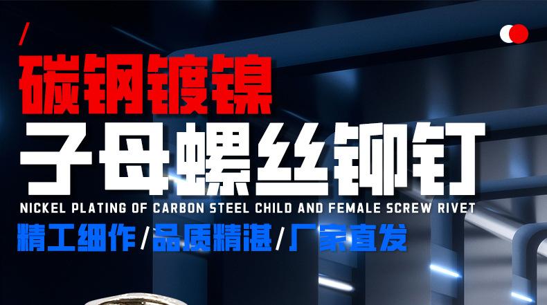碳钢镀镍子母螺丝铆钉_01_01.jpg
