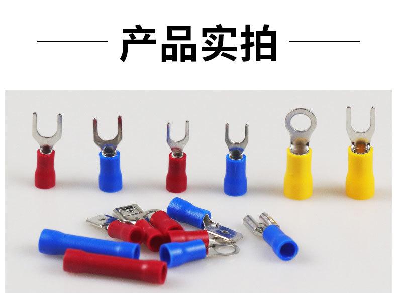 详14_01.jpg