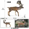 Crianças Simulação Veado-de-cauda-branca Animal Alce Veado Sika Modelo Ornamentos Sólidos Conjunto Brinquedos de Natal