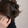 Pinza Metálica Curva de Alta Calidad para Agarre Clip para Cabello de la Parte Posterior de la Cabeza con Sentido de Alta Gama Nuevo para Mujer 2024 Elegante Pinza de Tiburón Accesorios para el Cabello