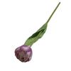 Venda Direta Transfronteiriça Simulação Adereços de Tiro de Tulipa Decoração de Sala de Estar em Casa Flores Artificiais Avançadas Flores Artificiais de Mão Atacado