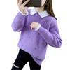 Suéter Feminino 2025 Outono e Inverno Aconchegante Peça Externa Mais Fácil de Combinar Estilo Ocidental Suéter Bordado Solto Camiseta Básica que Rejuvenesce