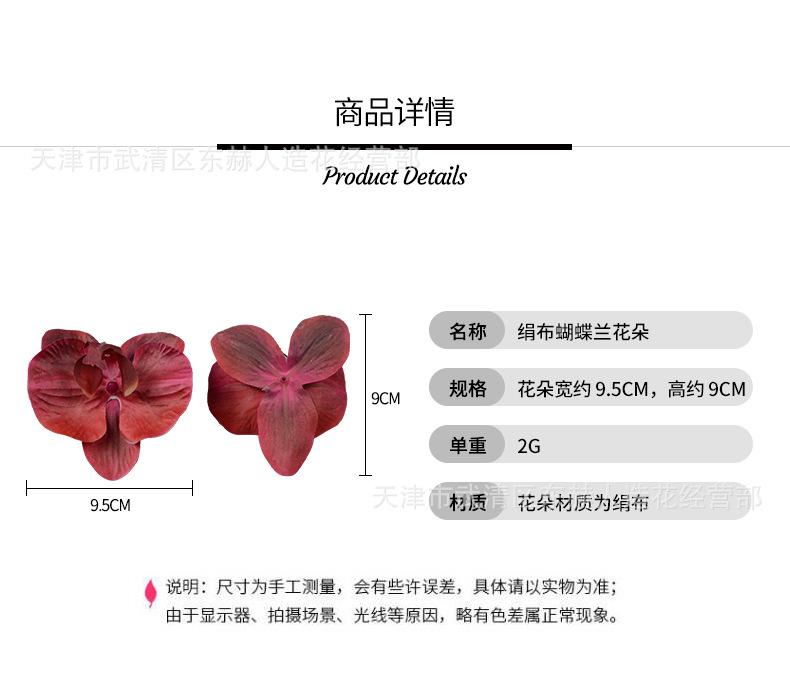 详情_01.jpg