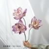 Arreglo Floral Zen Flor de Loto Real Flor Seca Adornos Decorativos Hogar Natural Escritorio Ramo Suave Loto Sala de Estar Todo Natural