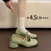 Zapatos Mary Jane de Estilo Francés con Pala Baja para Mujer, Nuevo Modelo Primavera 2026, Adecuados para Combinar con Vestidos, Zapatos Pequeños de Piel con Tacones Gruesos Altos