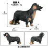 Modelos de Animales Realistas: Doberman, Golden Retriever, Perro de Peluche, Husky, Collie - Adornos para Coche y Juguetes para Niños
