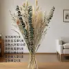 Pequeña Cola de Conejo de Caña Hierba Flor Inmortal Ramo DIY Producto Terminado Decoración Flor Real Adornos de Instagram Hierba de la Pampa Flores Secas Transfronterizo