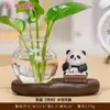 Decoração de Casa Estilo Chinês Panda Rabanete Verde Vaso Hidropônico Arranjo de Flores Vidraria Decoração de Mesa Vaso de Planta Presente