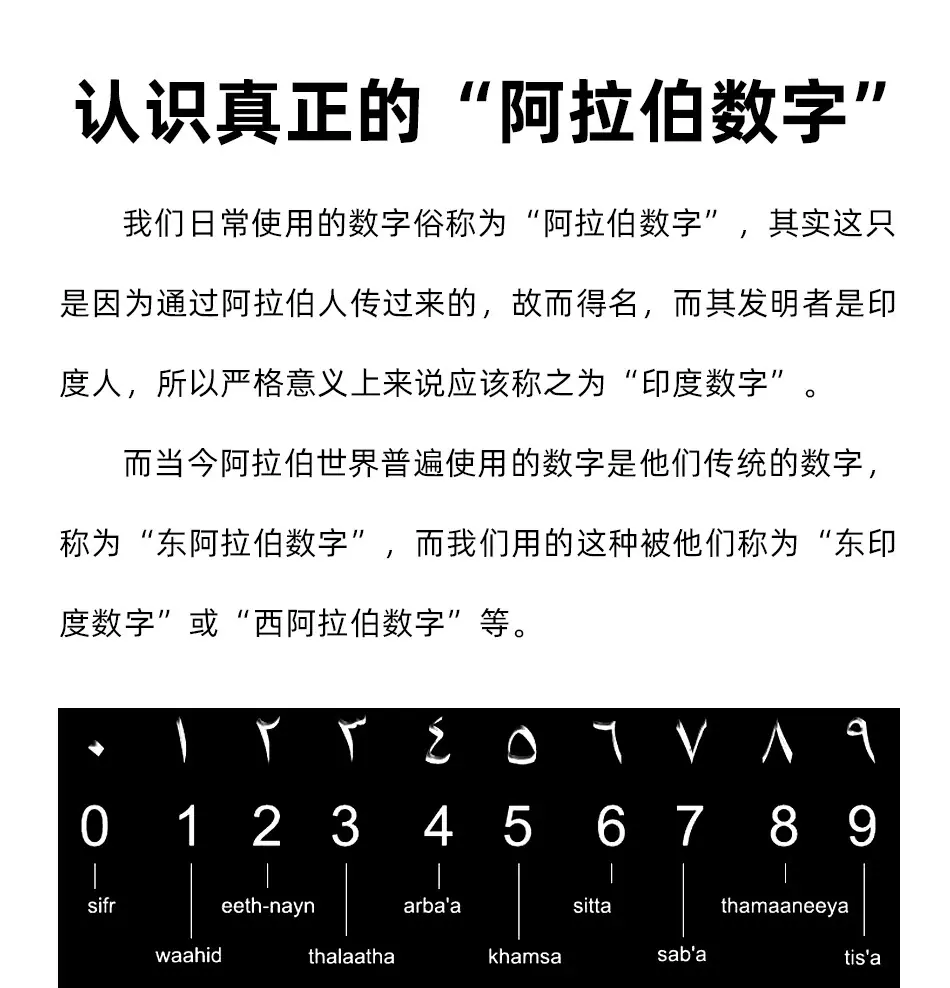 9077详情_03.jpg