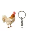 Tapón de Polvo para Teléfono Móvil de Pollo Plano Acrílico Nuevo Transfronterizo