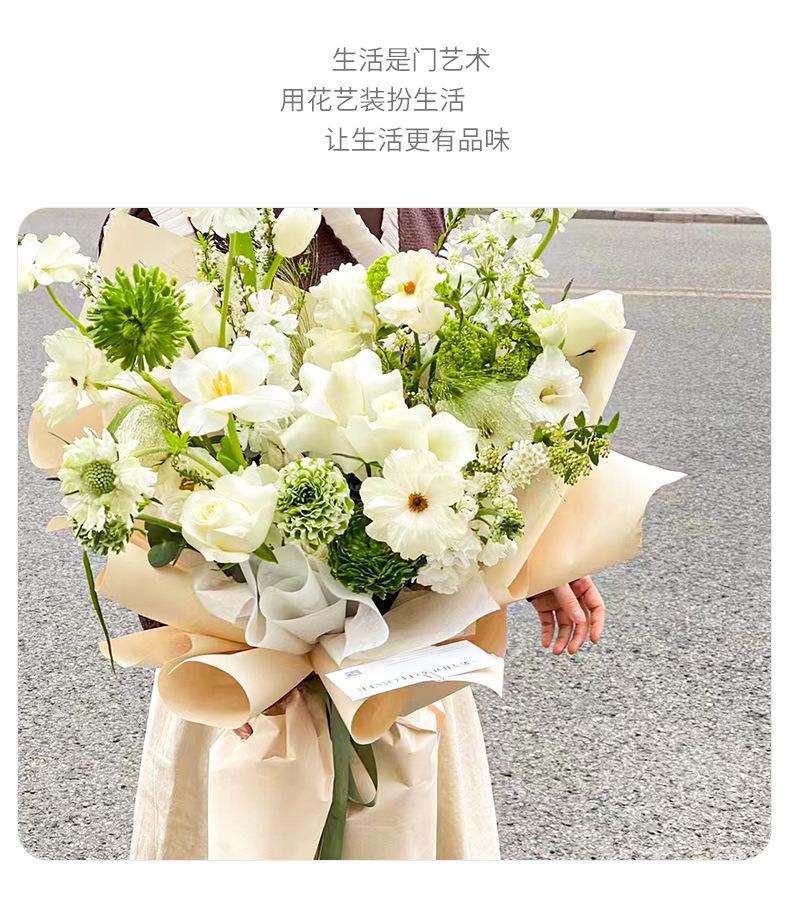 纯色纸_07.jpg