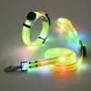 Collar LED Iluminado Mejorado con Siete Modos de Luz de Colores, Recargable, Iluminado por la Noche, Collar para Perro