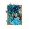 [Paquete de Materiales A5 en Relieve] Flores Secas Flor Eterna Marco de Fotos Paquete de Materiales en Relieve Material Floral DIY Vela de Aromaterapia Flores Secas
