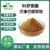 Ácido Corosólico 1%-20% Extracto de Panama de Ácido Corosólico Malva de Flor Grande 4547-24-4