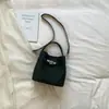 Bolsa Feminina de Luxo 2026 Nova Tendência de Verão Pequena Tote para o Trabalho, Bolsa de Ombro Cruzada Estilo Balde