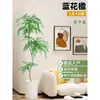 Planta Viva Jacaranda Sala de Estar Planta Grande en Maceta Interior Fácil de Mantener de Pie Flor Real Paisaje Jardinería para Absorber Formaldehído