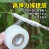 Película para injertar árboles frutales, película de PE para envolver y empacar, película selladora para cajas de comida para llevar, cinta autoadhesiva para injertar árboles frutales de jardín