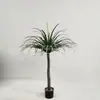 Simulação Beladona Árvore Floresta Tropical Planta Falsa Jardim Externo Paisagismo Decoração Árvore Dracena Árvore do Milênio Planta Verde