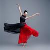 Falda de Baile de Encaje de una Pieza con Cordones Falda Larga de Gran Oscilación Delantal Danza Clásica Danza Moderna Elegante Vestido de Práctica