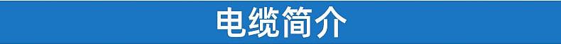 正工电缆_09