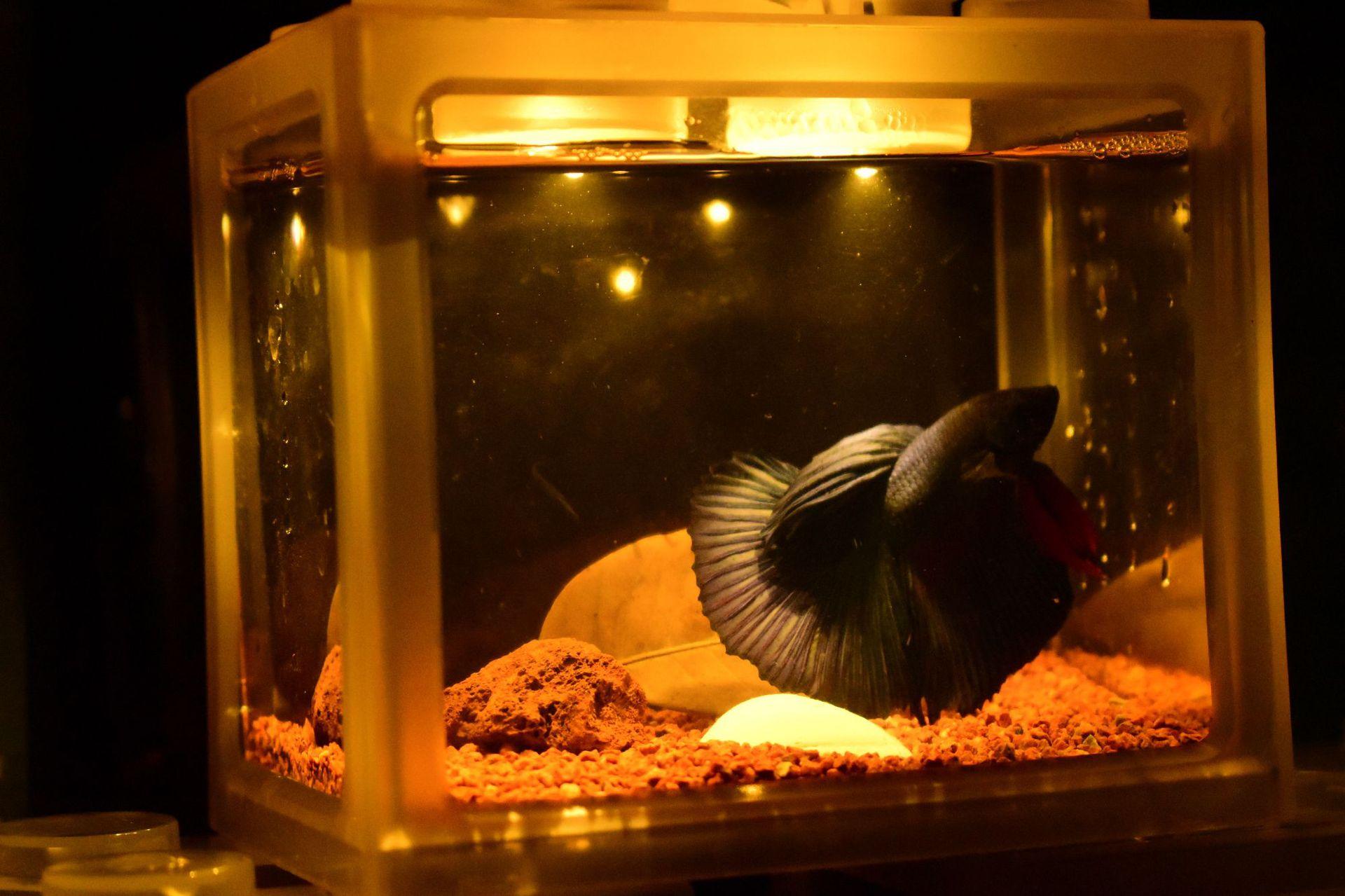 微信图片_20220906111223