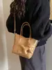 Bolsa de Mão Estilo Balde Tendência e Fashion para Mulheres, Nova Bolsa de Ombro Retro de Nicho Outono e Inverno com Sensação de Luxo, Bolsa Transversal