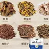 Creme Rei do Fungo de Yunnan, o Mesmo Creme Anti-Coceira e Antibacteriano Usado no Douyin, é Usado Externamente do Fabricante Original