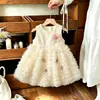 Vestido sin mangas de terciopelo fino para niña de otoño e invierno, lindo vestido tipo chaleco con falda de malla multicapa, vestido de princesa para bebé, Dropshipping