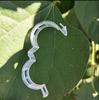 Clip fijador de vid Clip de sujeción de vid Hebilla fija Hebilla fijadora de vid de uva Clip fijador de plántulas de invernadero de plantas de vid