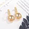 Pendientes Largos de Circonita Ámbar Pendientes de Nicho de Lujo Ligero Nuevo Estilo Caliente 2025 Sensación de Alta Gama Ear Cuff Accesorios Únicos para Orejas Otoño Invierno