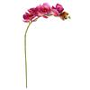 Uma flor de madeira Estrada fábrica direta nova casa Hóspede restaurante Decoração flores de exibição cola de simulação sentir Phalaenopsis