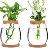 Florero de Vidrio Transparente Hidropónico Contenedor para Plantas Verdes Oficina Arreglo Floral Decoración de Escritorio Manualidades Suministro Transfronterizo