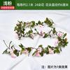 Enredaderas de Rosas, Rosas Trepadoras, Decoraciones para Calefacción Interior, Enredaderas de Flores para Cubrir Paredes, Plantas Verdes
