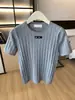 Shenzhen Nanyou Boutique Ropa Femenina Europea Francesa Elegante Camiseta de Punto de Lana de Manga Corta con Parche de Letra