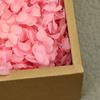 Flor Mágica Flor Eterna AB Anna Hortênsia 100g Aniversário Real Flor Diy Material Flor Seca Decoração Namorada Presente