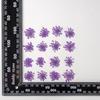 Encaje flor cuenta de nieve flor flor seca flor al por mayor flor arte de uñas marco de fotos espécimen de planta hecho a mano para niños flor real maquillaje facial