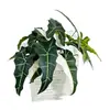 Nuevo producto transfronterizo: planta verde artificial, planta de taro grande, decoración de escritorio y sala de estar para el hogar, decoración de pasillo de boda, planta en maceta
