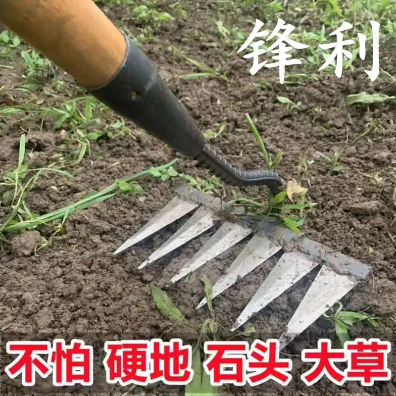 zt5