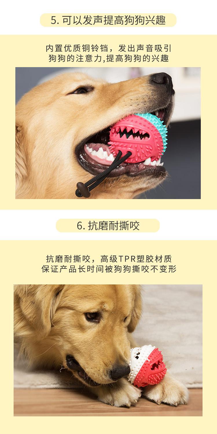 发声漏食球详情_10