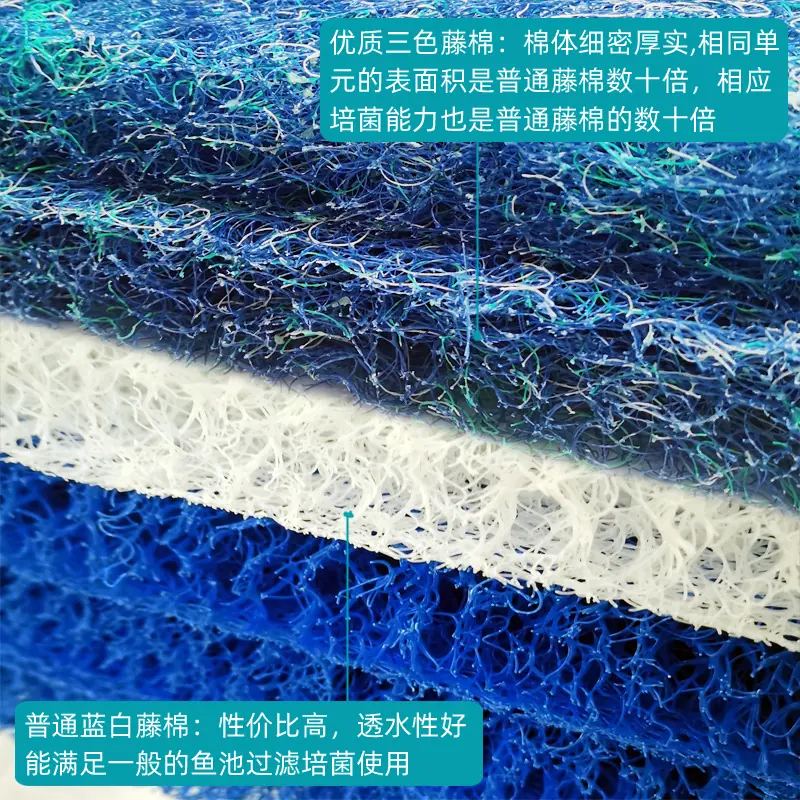 藤棉对比副本