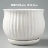 Gran Maceta de Cerámica en Liquidación con Plato Personalidad Creativa Uso en Casa Maceta para Planta Araña Rábano Verde Suculenta Blanca Sencilla