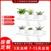 Fabricante Prateleira de Armazenamento de Plantas de Acrílico Transparente Prateleira de Armazenamento de Vasos de Flores de Parede Prateleira de Exibição de Jardim Interno com Vasos de Suculentas