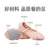 Nova Lace-up Free Dance Shoes Soft Sole Ballet Belly Dance Cat Garra Body Test Dance Shoes